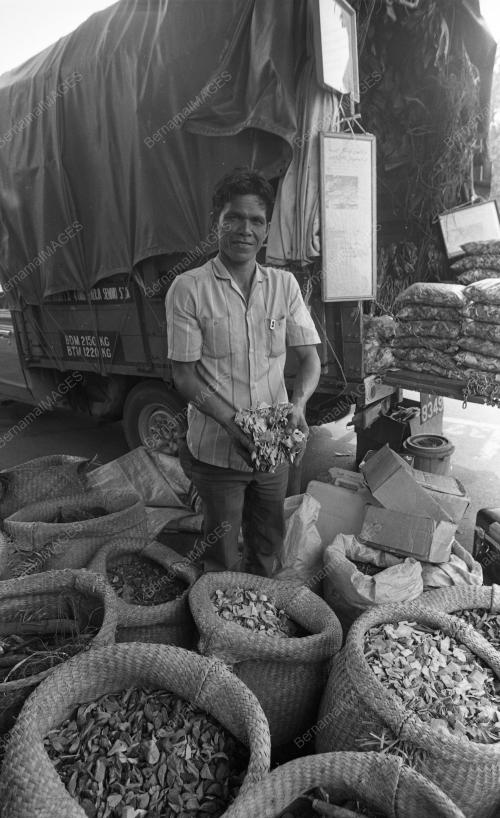 TG01_12012015_PERUBATAN_TRADISIONAL