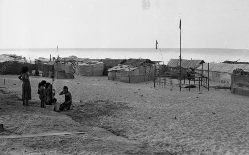 TG01_14012015_PESTA_PANTAI