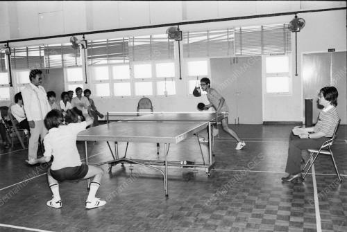 PINGPONG