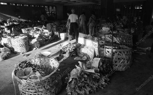 TG01_22012015_PASAR_BESAR
