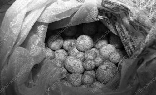 TG01_22012015_PENYU