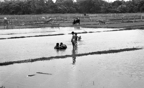 TG01_26012015_KANAK_KANAK