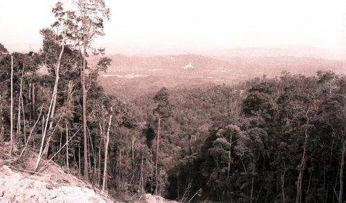 TG06_260390_LAWATAN