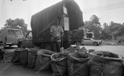 TG02_12012015_PERUBATAN_TRADISIONAL