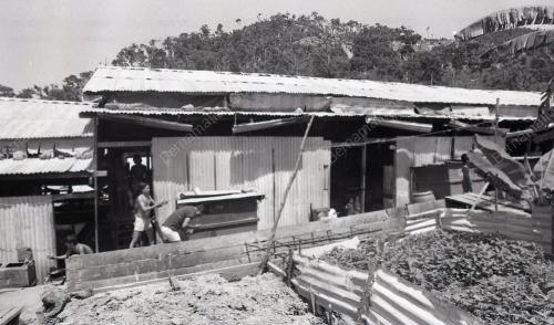 PULAU BIDONG