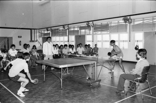 PINGPONG