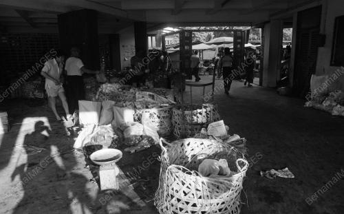 TG02_22012015_PASAR_BESAR