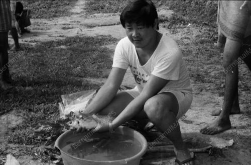 IKAN JELAWAT