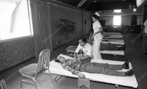 TG02_24022015_DERMA_DARAH