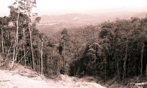 TG02_260390_LAWATAN