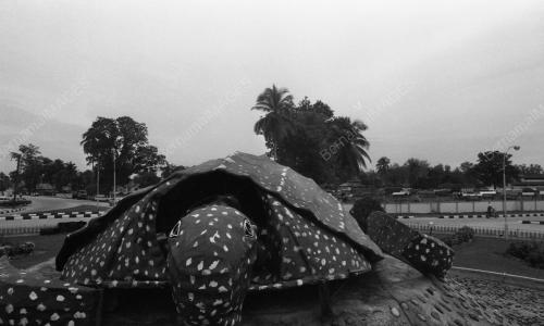 TG02_27012015_PENYU
