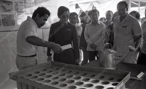 TG03_12012015_PROJEK_TEMBAKAU