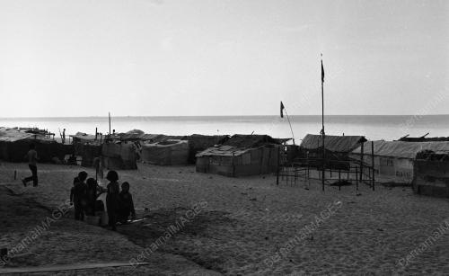 TG03_14012015_PESTA_PANTAI