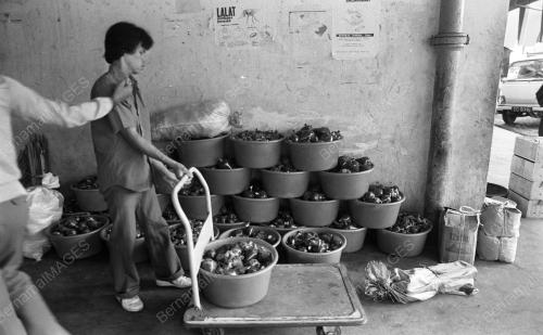TG03_22012015_PASAR_BESAR