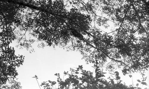 TG03_24022015_SELAMAT_HAIWAN