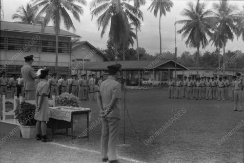 HARI POLIS