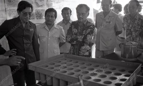 TG04_12012015_PROJEK_TEMBAKAU