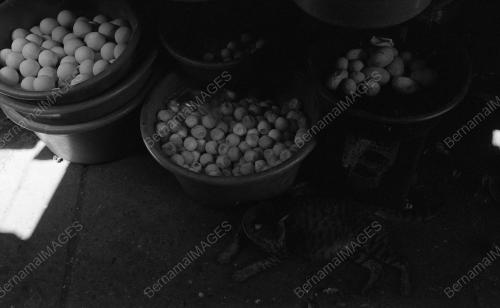TG04_22012015_PENYU