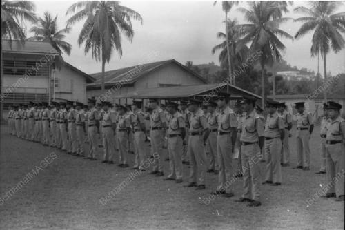 HARI POLIS