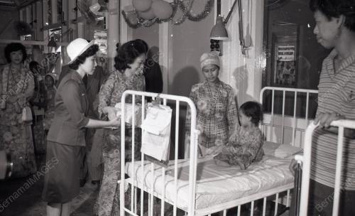 SULTAN MAHMUD