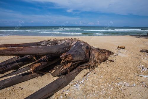 TG05_08062018_PANTAI