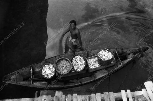 TG05_25031980_PULAU_REDANG