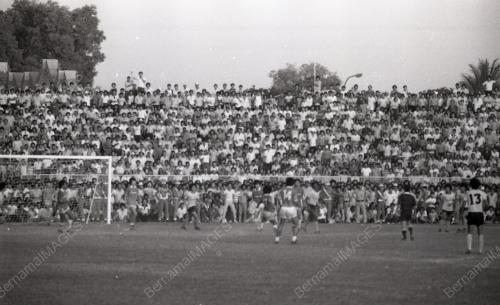 BOLA SEPAK PIALA MALAYSIA