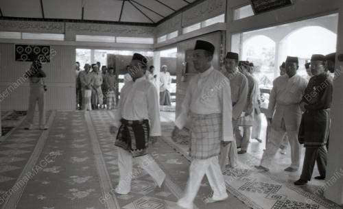 WAN MOKHTAR AHMAD