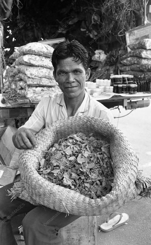 TG06_12012015_PERUBATAN_TRADISIONAL
