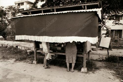 JUAL NASI DAGANG DALAM KELAMBU