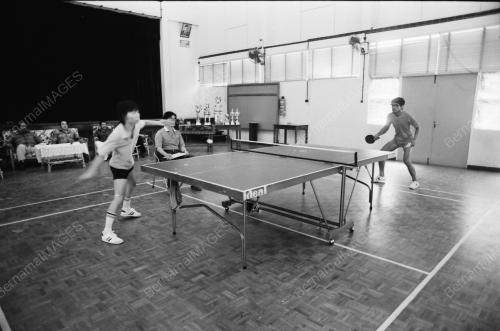 PINGPONG