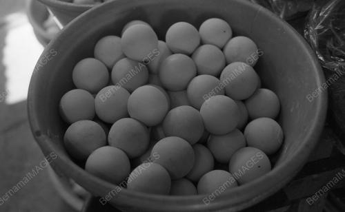 TG06_22012015_PENYU