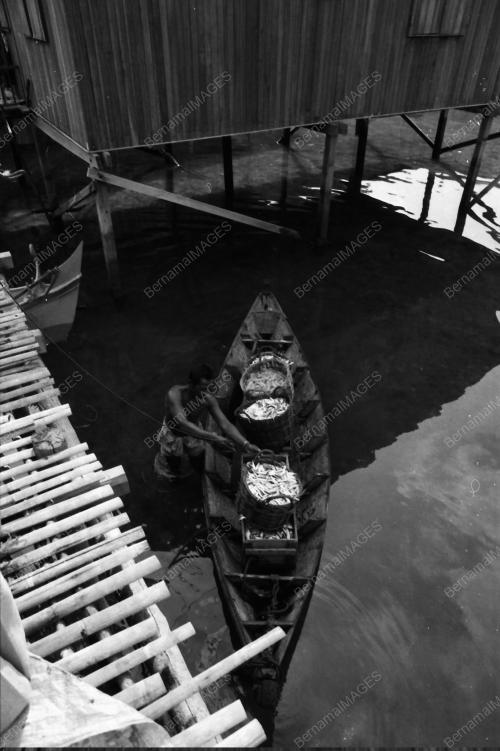 TG06_25031980_PULAU_REDANG