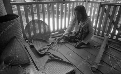 TG06_26012015_PERUSAHAAN