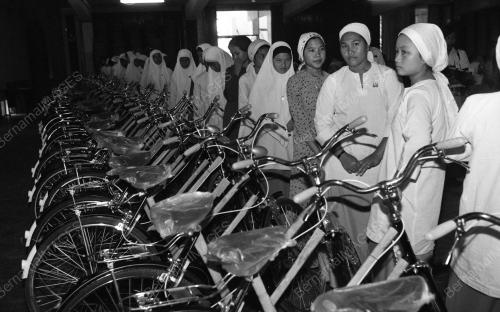 TG06_27012015_BASIKAL
