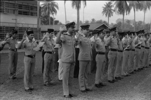 HARI POLIS