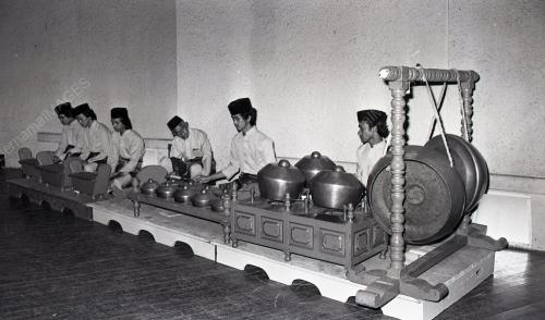 MUSA HITAM