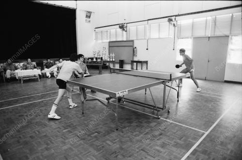 PINGPONG
