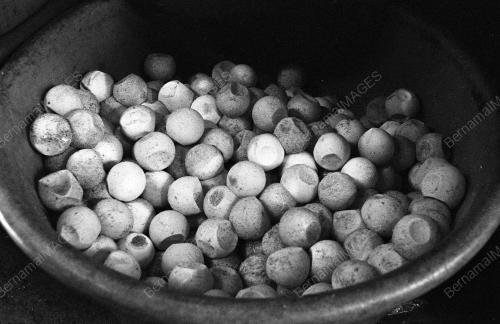 TG07_22012015_PENYU