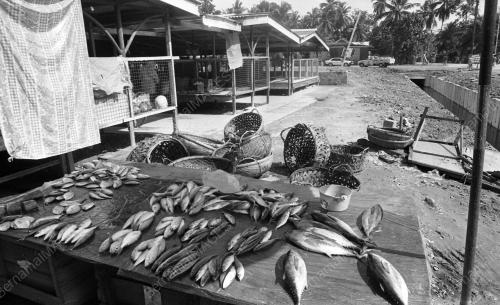 TG07_26012015_KAWASAN_KAMPUNG