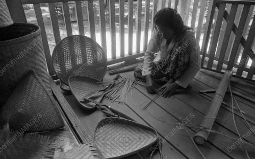 TG07_26012015_PERUSAHAAN