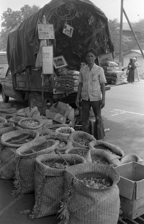 TG08_13012015_PERUBATAN_TRADISIONAL