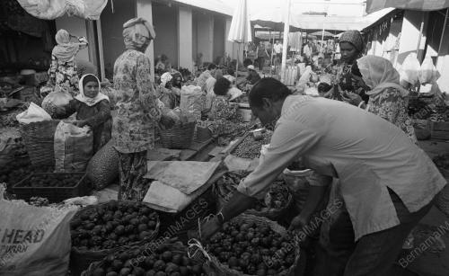 TG08_22012015_PASAR_BESAR