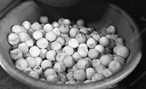 TG08_22012015_PENYU