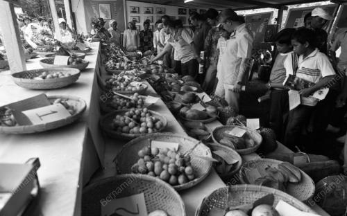 TG08_22012015_PERHIMPUNAN