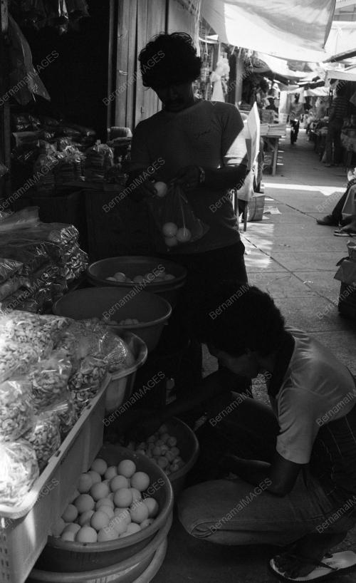 TG09_22012015_PENYU