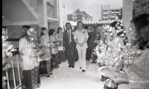 MUSA HITAM