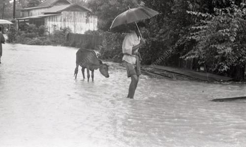 BANJIR