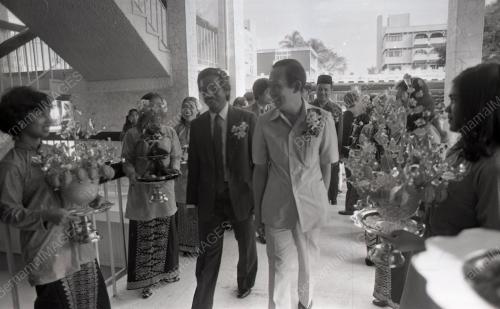 MUSA HITAM