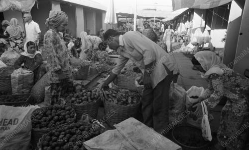TG11_22012015_PASAR_BESAR
